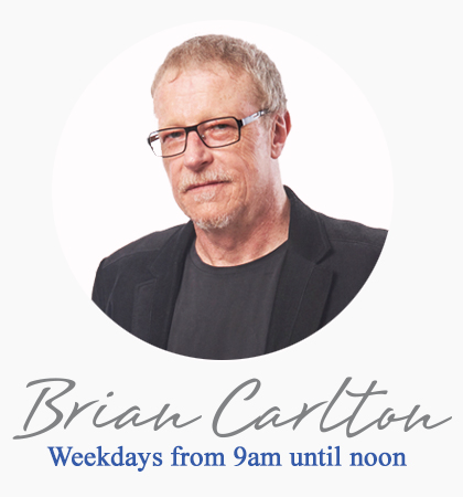 Brian-bio-image_new